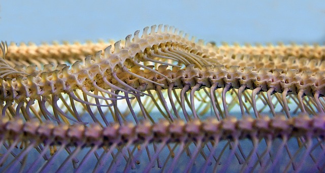 Někdy záda bolí hodně. 